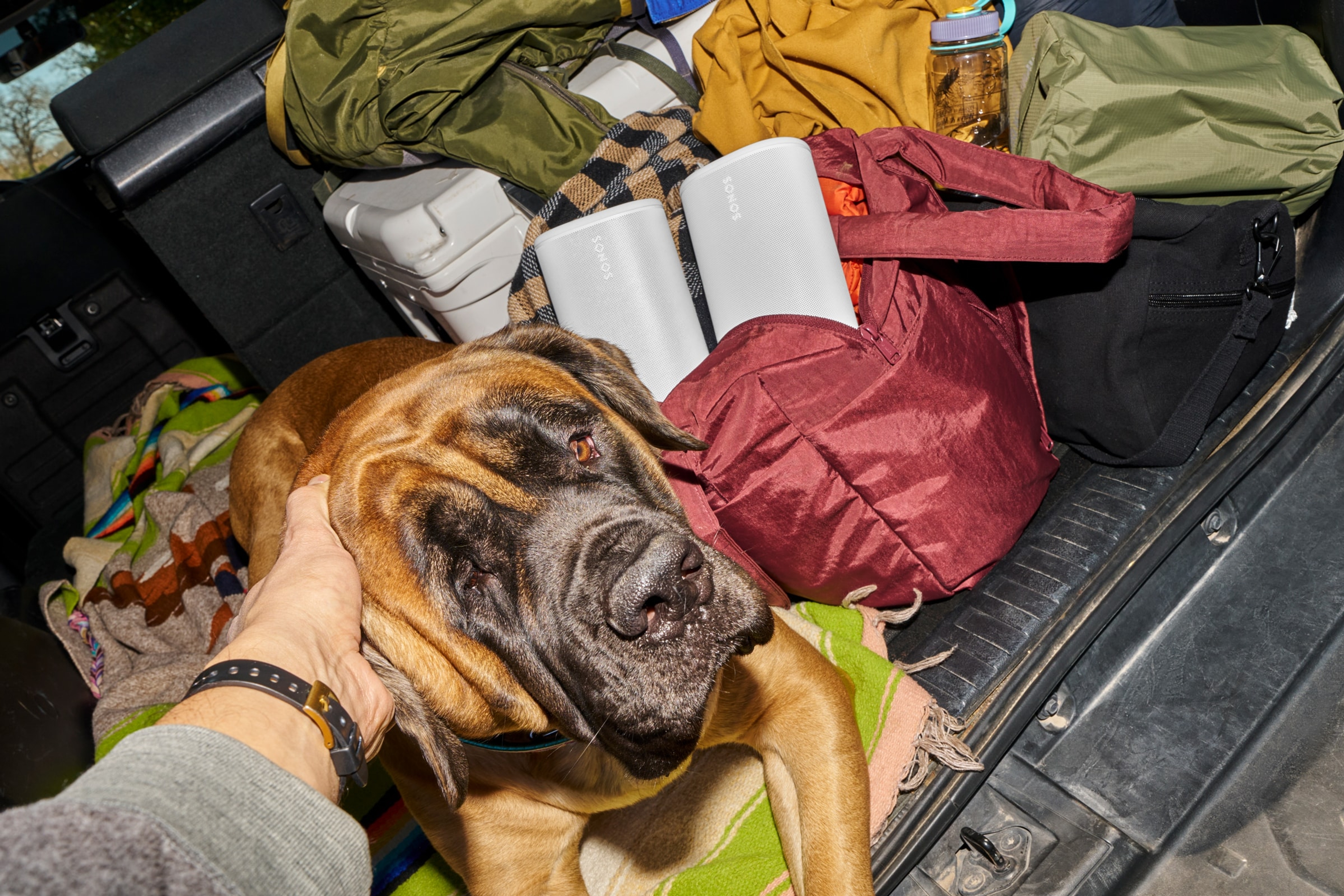 Une personne chargeant sa fourgonnette pour partir camper avec son chien, avec une paire d'enceintes Sonos Play blanches dans un sac