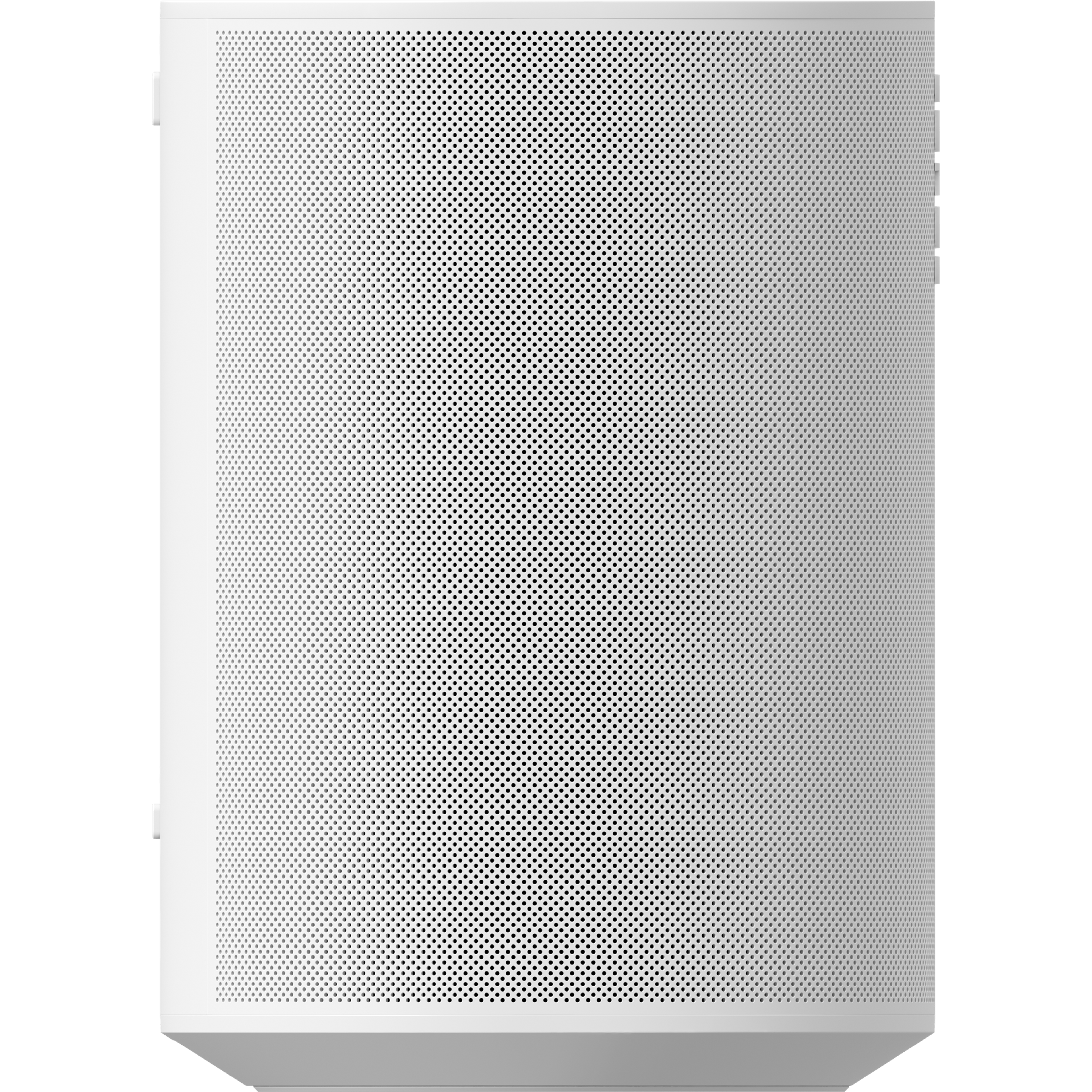 Era 100 white side