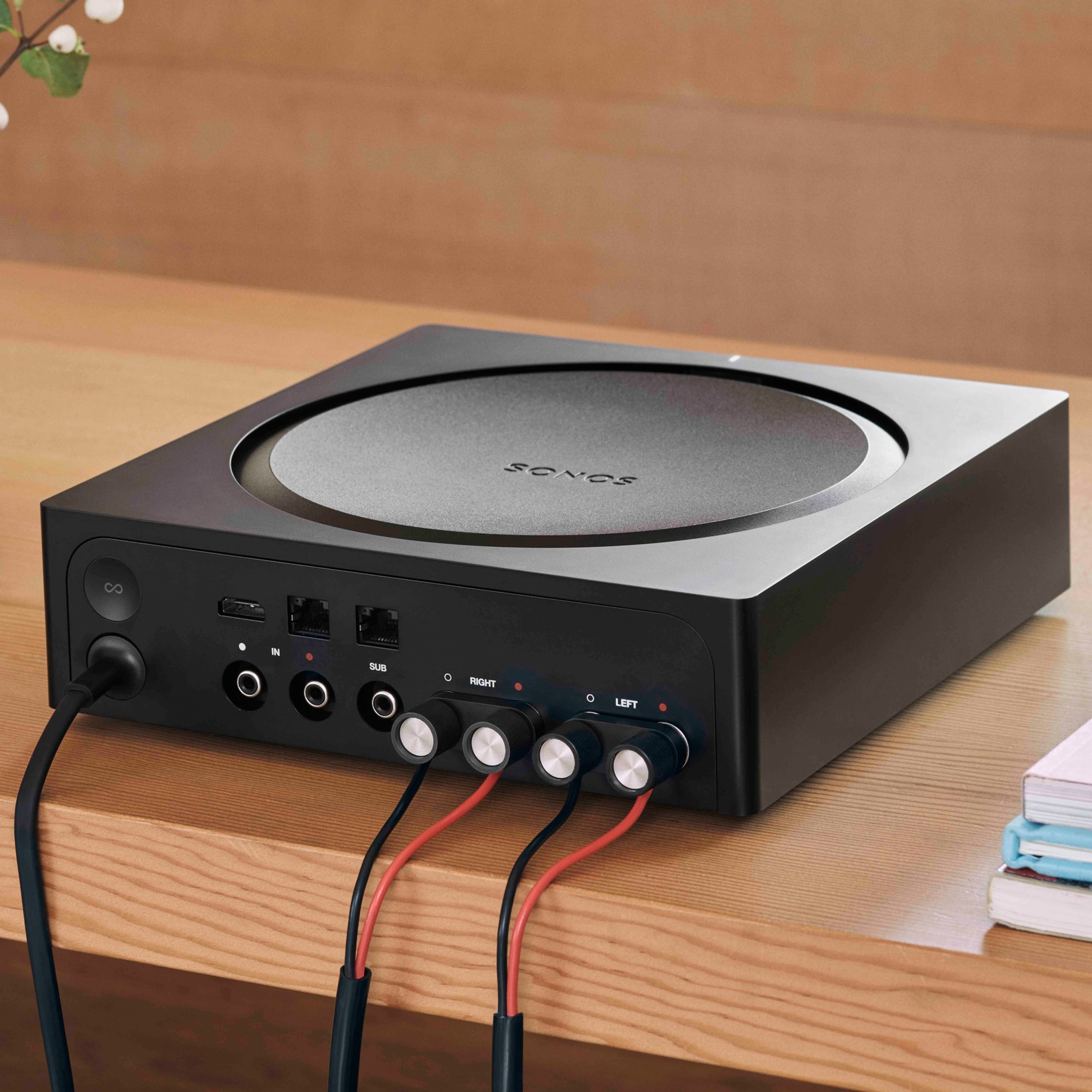 Amp's rear panel features inputs for wired speakers, RCA input, a dedicated Subwoofer out, and more
